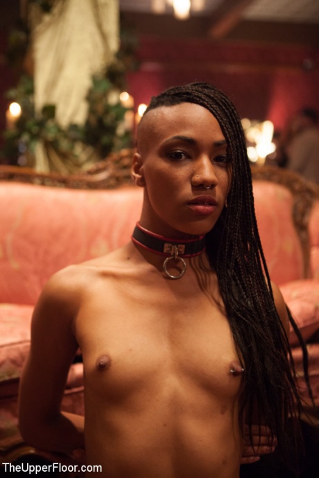 Рабы в ошейниках перегружают сенсорные системы обнаженного мужчины своими ртами 8