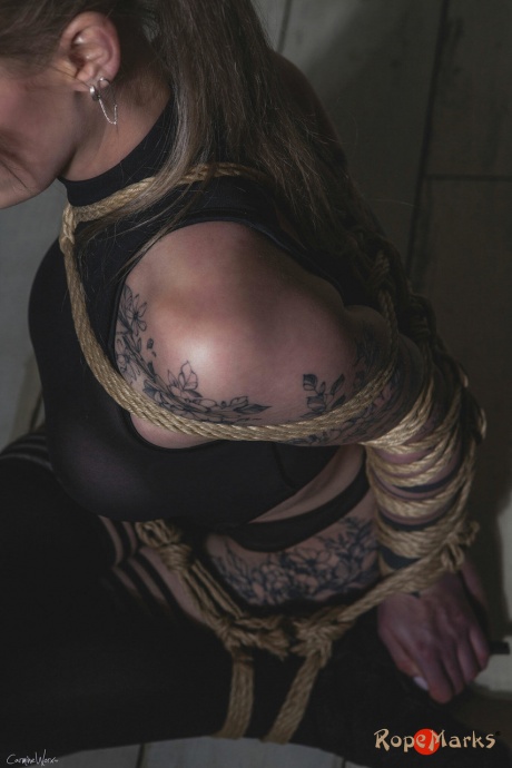 Сейза из кренделей с армбиндерблондой, Веревочный бондаж, Шибари 6