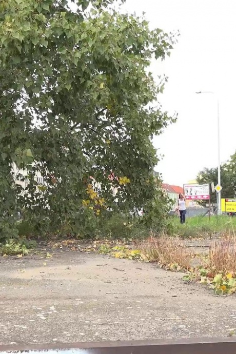 Сексуальная девушка Синтия Веллонс прячется за деревьями, чтобы пописать 1