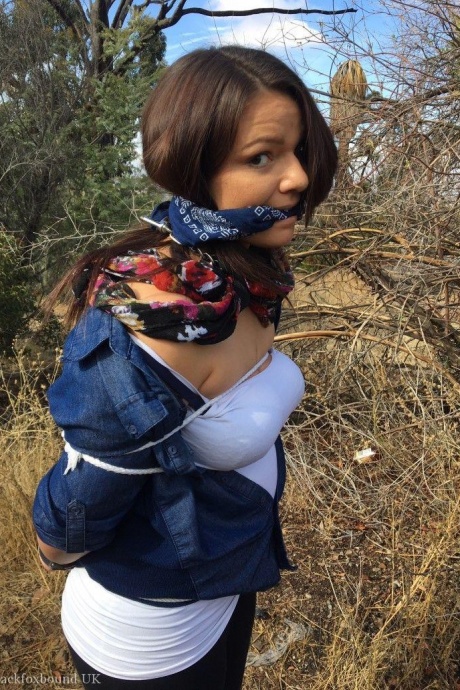 Полностью одетый толстяк расколот, с кляпом во рту и связанный веревкой в заросшем кустарником лесу 12