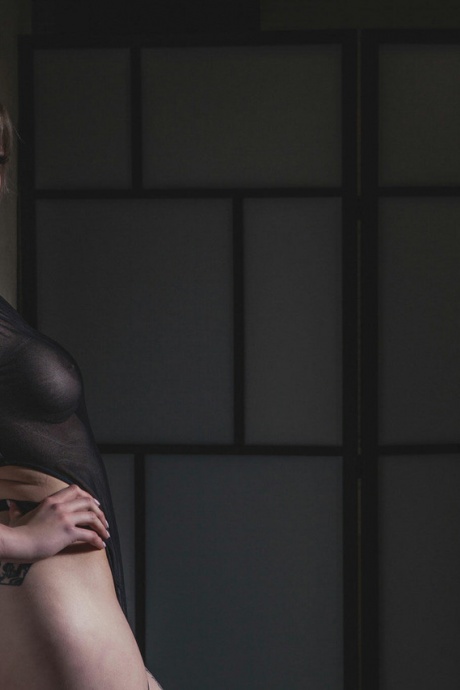 Сейза из кренделей с армбиндерблондой, Веревочный бондаж, Шибари 3