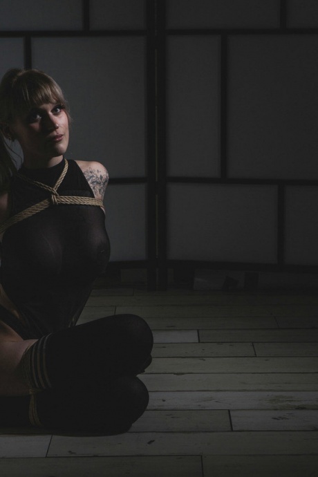 Сейза из кренделей с армбиндерблондой, Веревочный бондаж, Шибари 7