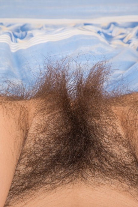 Симпатичная молодая Халмия раздевается, чтобы показать маленькие сиськи и очень волосатую киску крупным планом 13