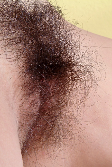 Сочные половые губки латиноамериканки Нэнси окружены ее густым волосатым кустом 8